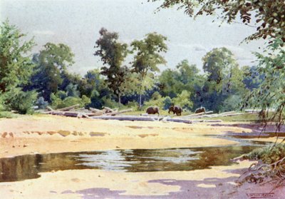 大象在Kokogon清除一块日志 作者 罗伯特·乔治·塔尔伯特·凯利